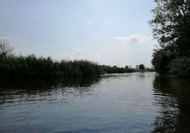 IMG_20210727_161711